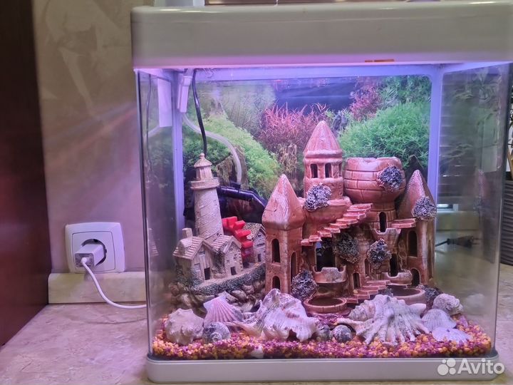 Аквариум