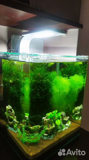 Аквариум dennerle 20л