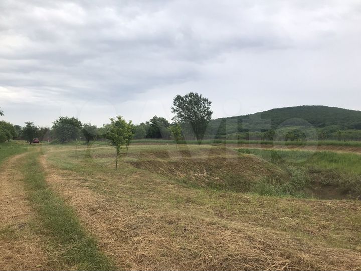 Участок 1,5 га (СНТ, ДНП)