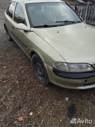 Opel Vectra 1.6 МТ, 1996, 245 000 км