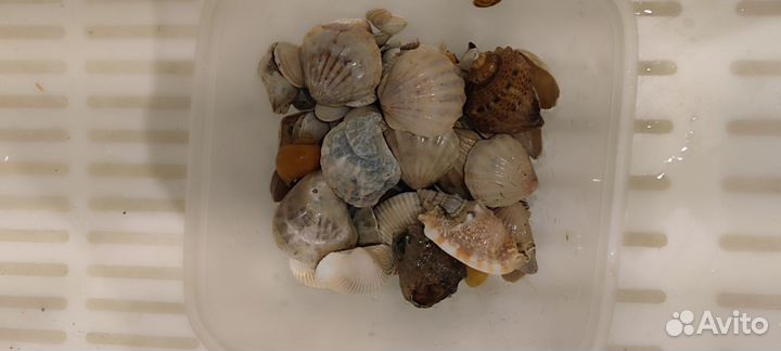 Аквариумные декораций