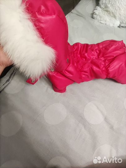 Комбинезон зимний для собак мелких пород