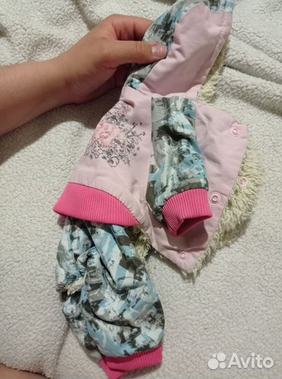 Костюм для собаки