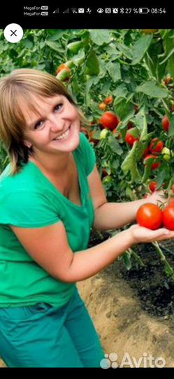 Разнорабочий в теплицу