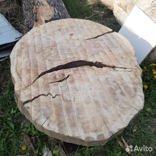 Спилы карагача