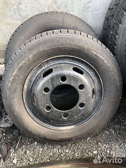 Triangle Snow-LL01 215/75 R16