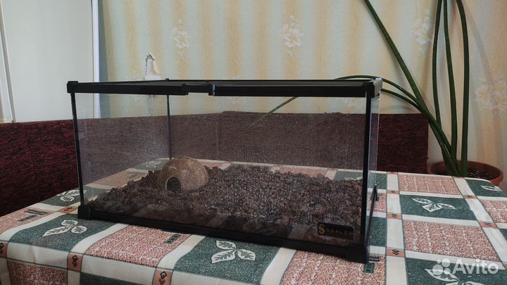 Террариум для рептилий