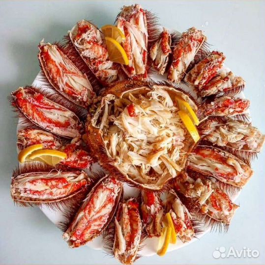 Краб волосатик