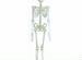 Скелет светящийся 90 см карнавальный