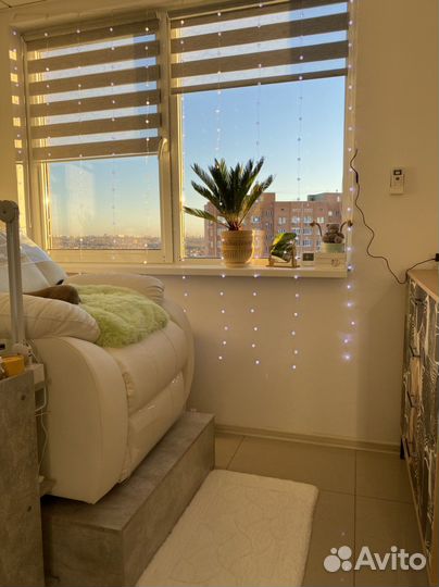 Наращивание ресниц, Бровист