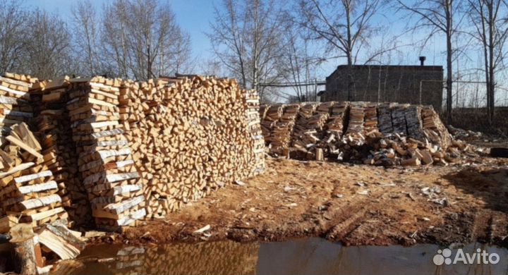 Дрова березовые