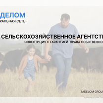 Сельскохозяйственное агентство в городе Санкт-Петербург, Санкт-Петербург