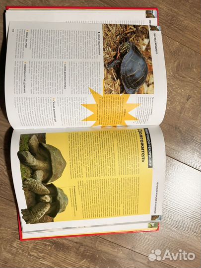 Рекорды природы. Энциклопедия. Марк Карвардин