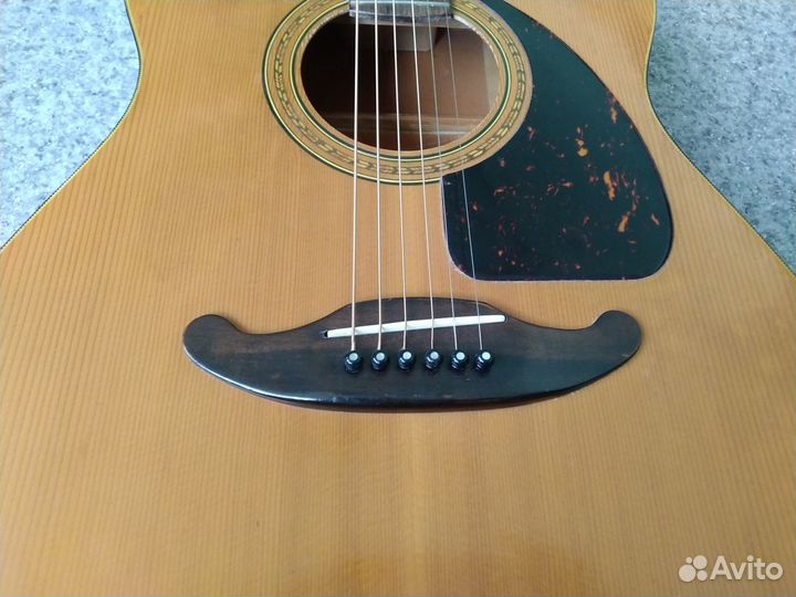 Гитара Tokai Humming Bird