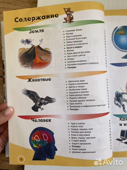 Энциклопедия современного школьника