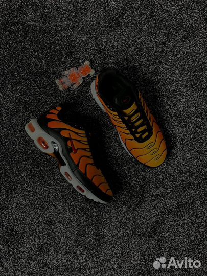 Nike Air Max Tn Plus