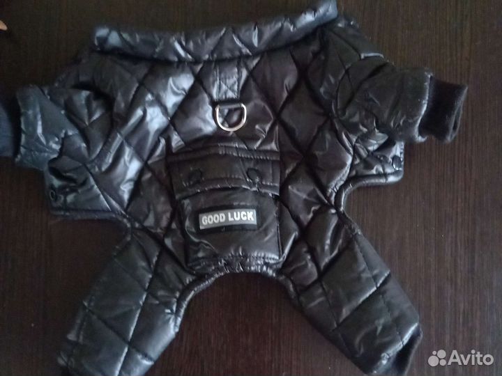 Товары для животных