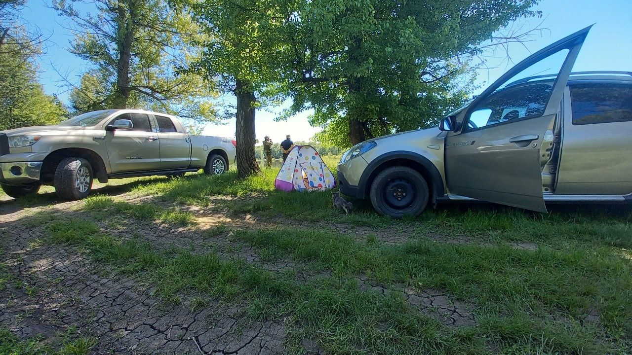 Renault Sandero Stepway: фото владельца