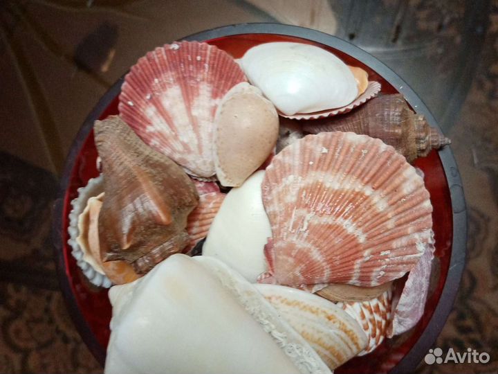 Ракушки в корзине. Новые в упаковке