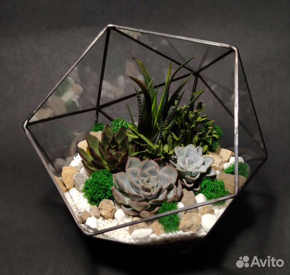 Флорариум с суккулентами