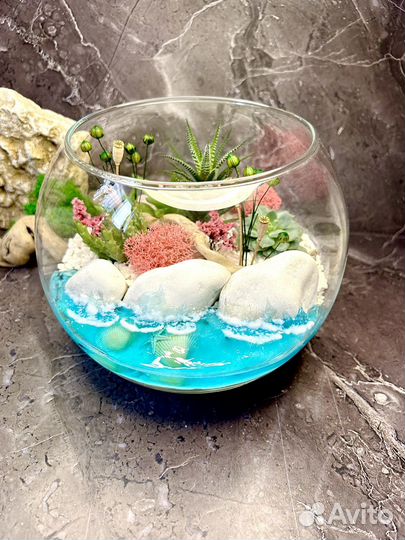 Флорариум (живые суккуленты )