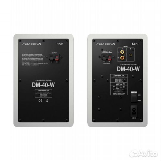 Pioneer DM-40-W