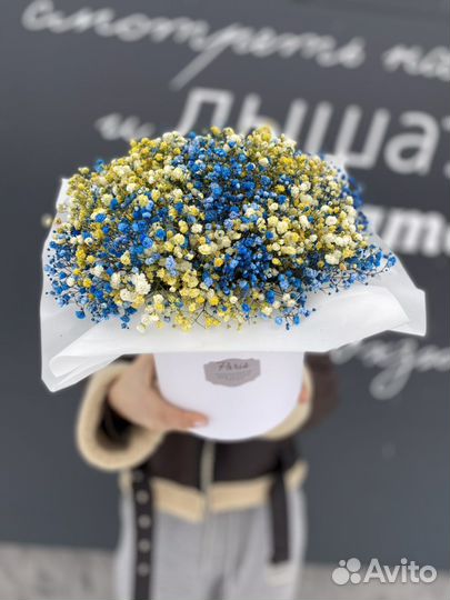 Гипсофила в коробке