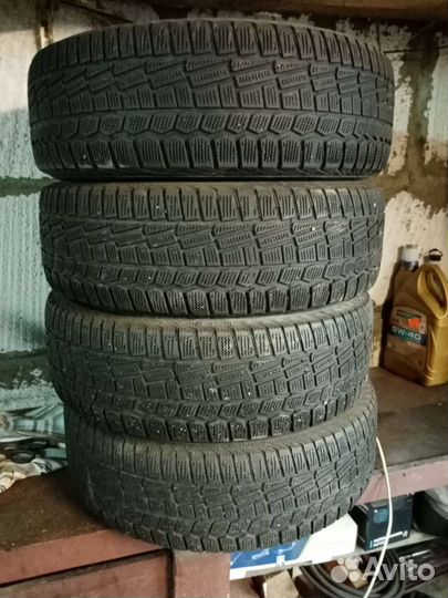 Viatti Brina 204