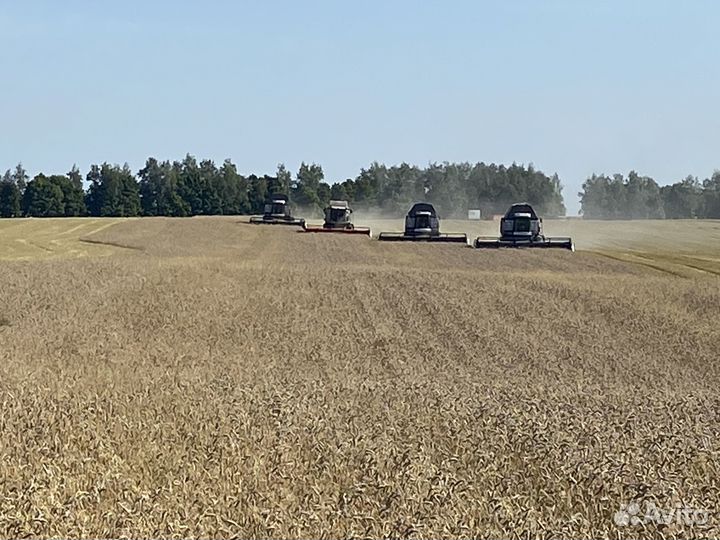 Уборка урожая подсолнечника, сои, лен.2023