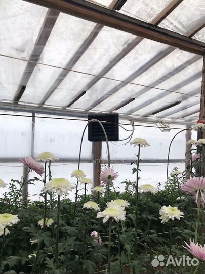 Тепловентилятор водяной для теплицы