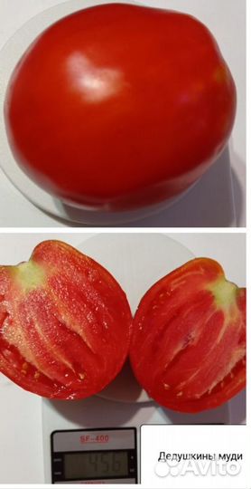 Семена сортовых томатов