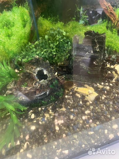 Аквариум с тумбой