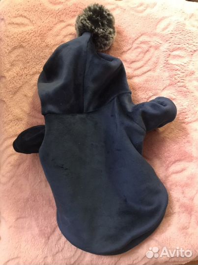 Костюмчик для собаки, кошки