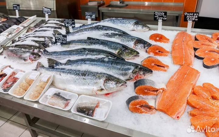 Продается прибыльный рыбный магазин в центре