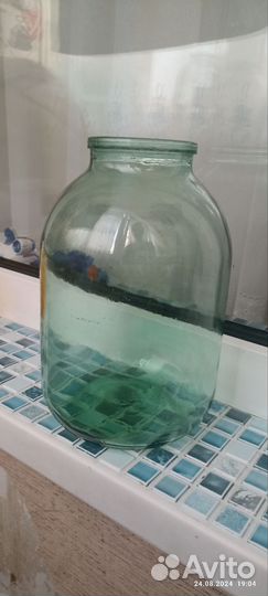 Банки 3 литра много