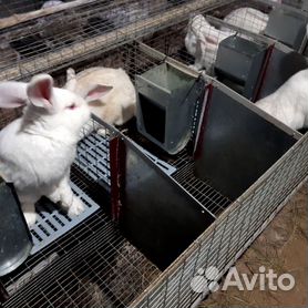 Клетки для кроликов своими руками из сетки: чертежи с размерами