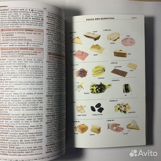 Английский словарь Cambridge Learner's Dictionary