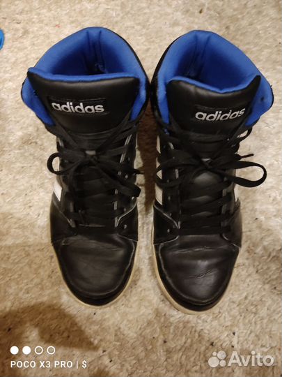 Adidas Neo Hoops 3.0