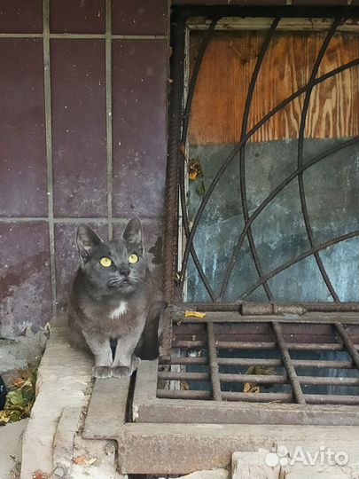 Возьмите малышку к себе