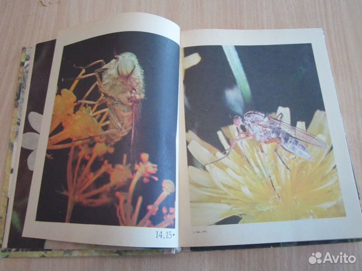 Книга Не просто букашки