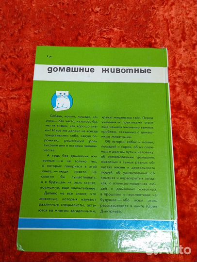 Юрий Дмитриев, соседи по планете, домашние животны