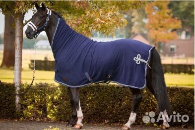 Ногавки стан veredus tendon olympus absolute