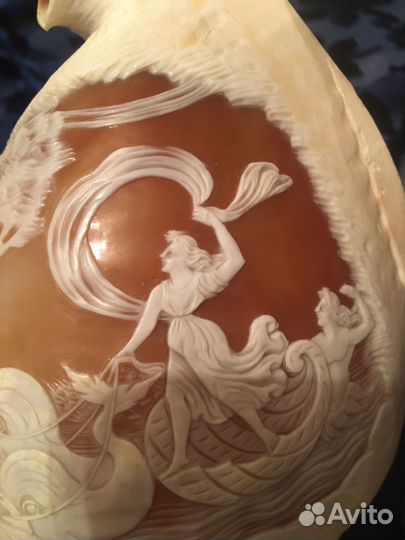 Глиптика / резьба на раковине
