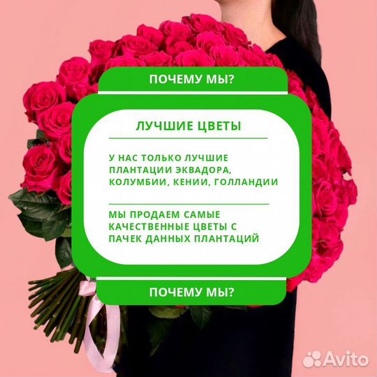 Эквадорские розы из 101 и 51 на 8 марта цветы