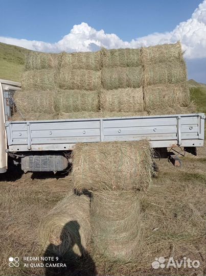 Сено луговое