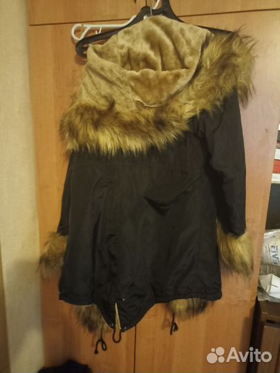 Пихора новая