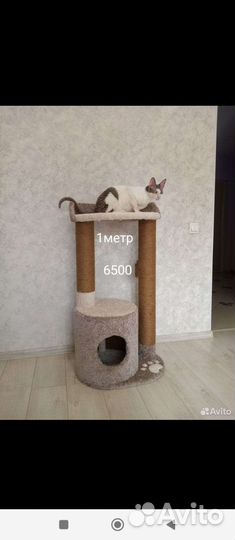 Домик для кота