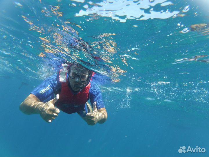 Тенерифе Топ-Экскурсия Снорклинг с лодки с черепах