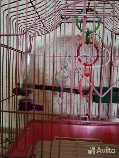 Клетка для птиц