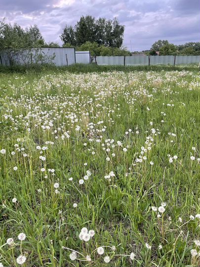 Участок 45 сот. (ИЖС)